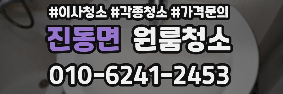 진동면 이사청소