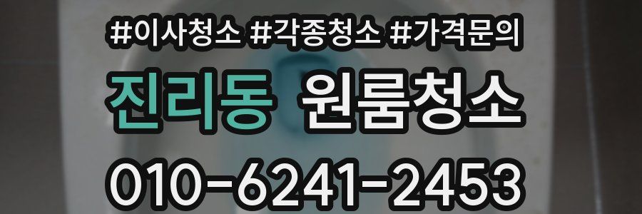 진리동 이사청소