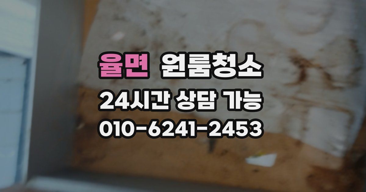 율면 입주청소