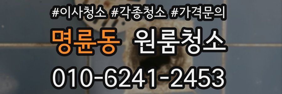 명륜동 이사청소