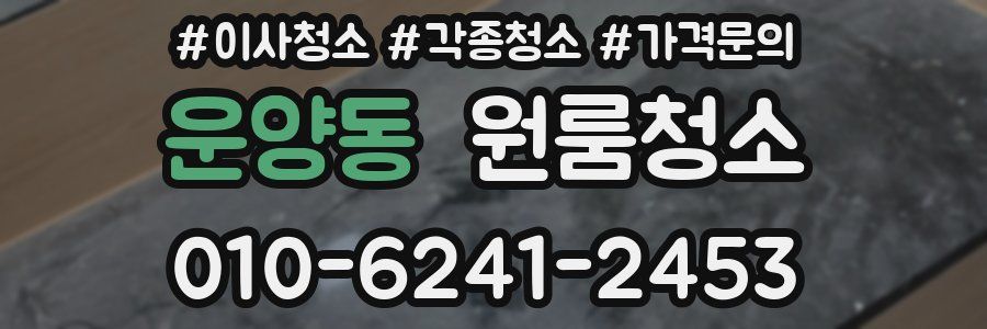 운양동 이사청소