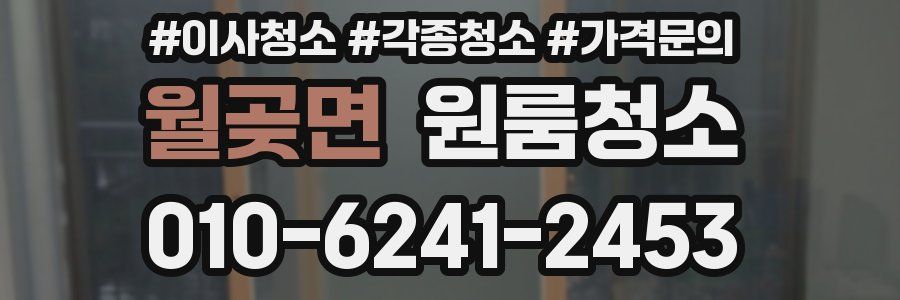 월곶면 이사청소