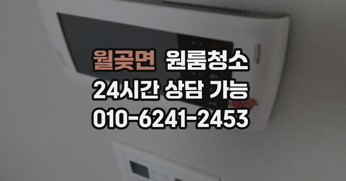 월곶면 입주청소