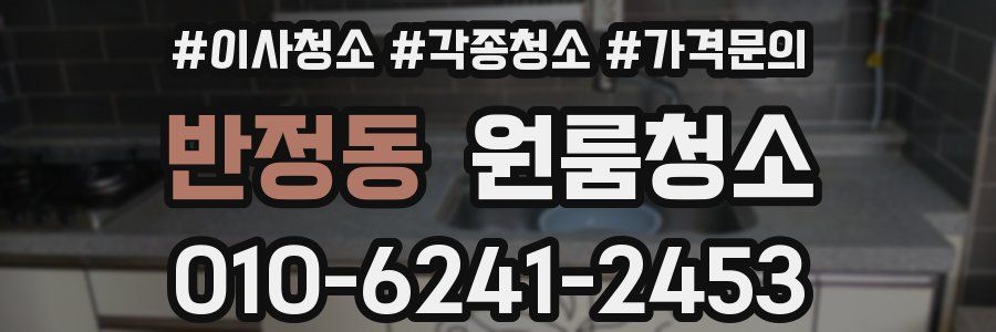 반정동 이사청소