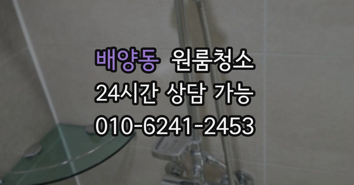 배양동 입주청소