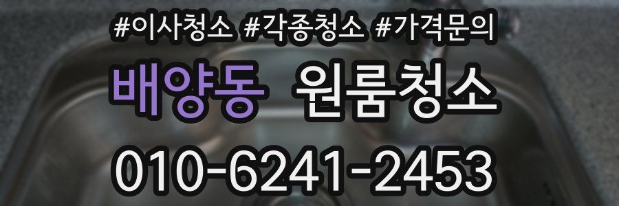 배양동 이사청소