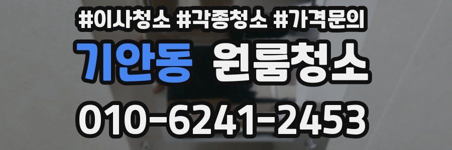 기안동 이사청소