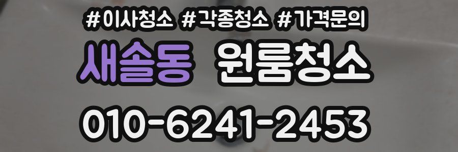 새솔동 이사청소