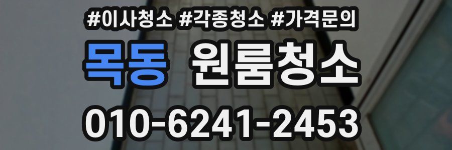 목동 이사청소