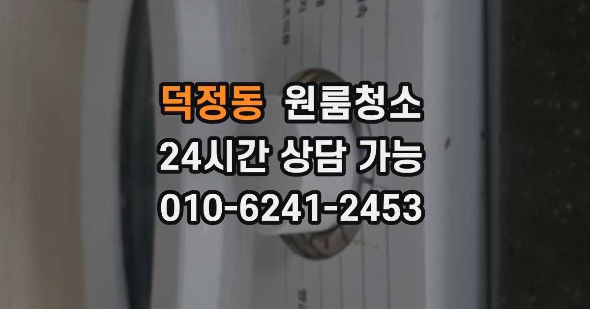 덕정동 입주청소