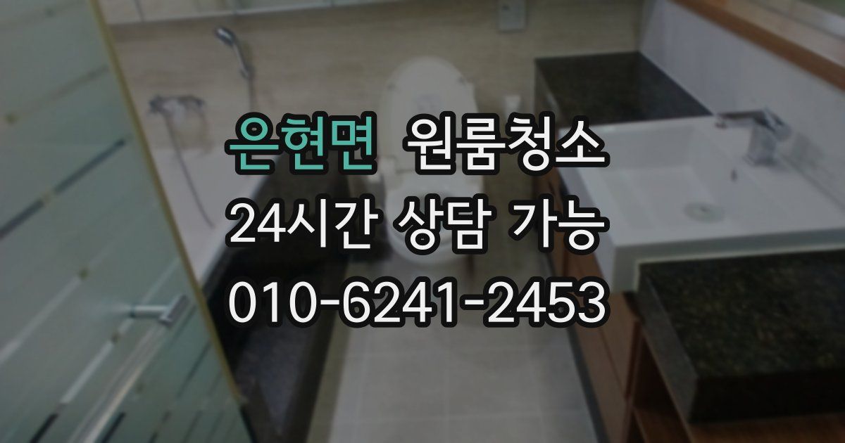 은현면 입주청소