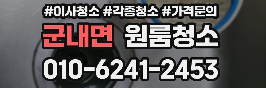 군내면 이사청소
