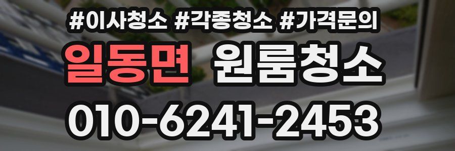 일동면 이사청소