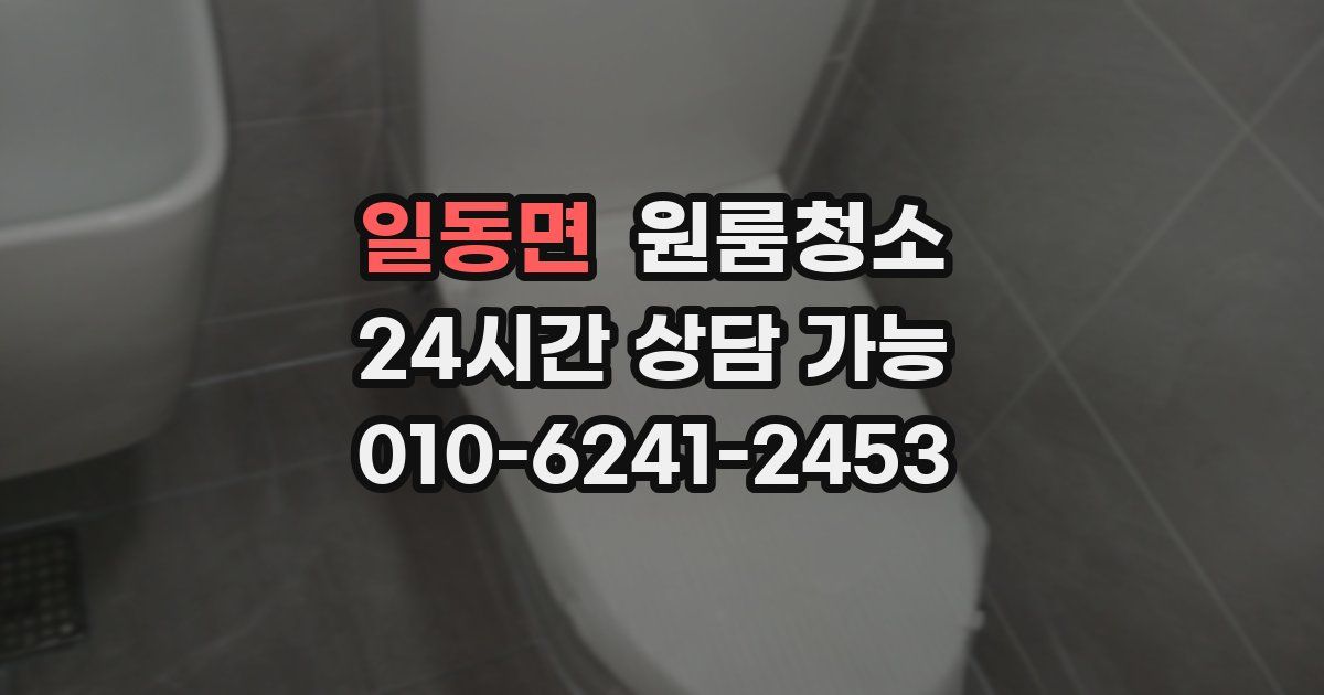 일동면 입주청소