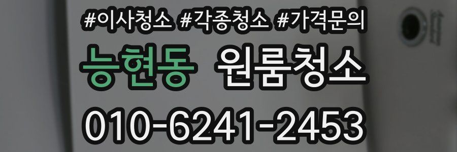 능현동 이사청소