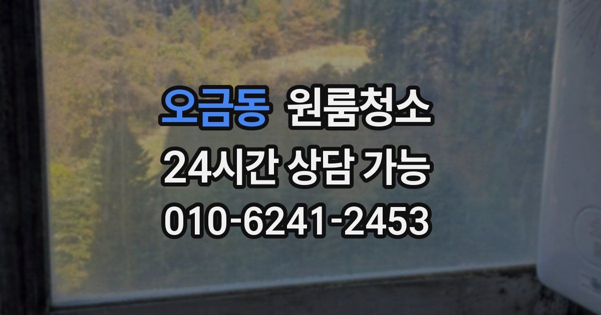 오금동 입주청소