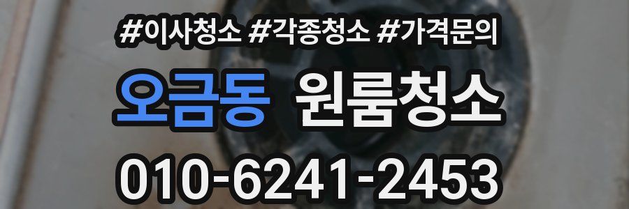 오금동 이사청소