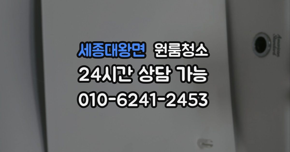 세종대왕면 입주청소