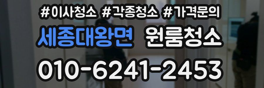 세종대왕면 이사청소