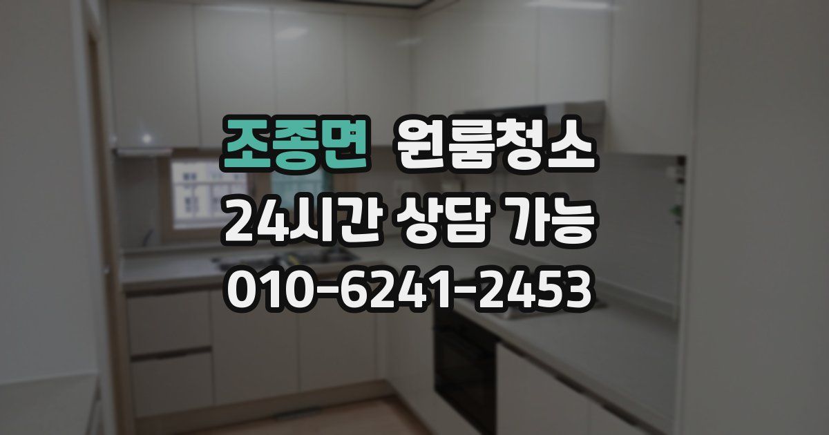 조종면 입주청소