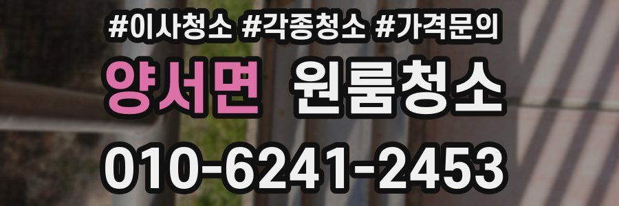 양서면 이사청소