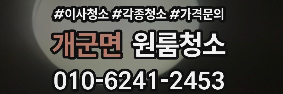 개군면 이사청소