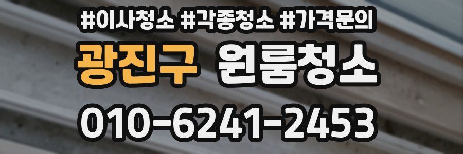 광진구 이사청소