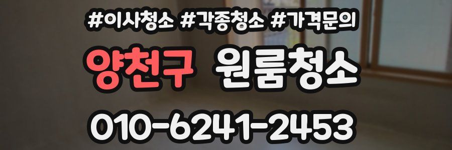 양천구 이사청소