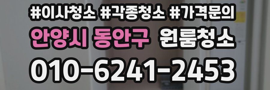 안양시 동안구 이사청소