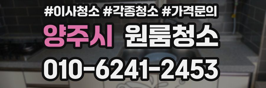 양주시 이사청소