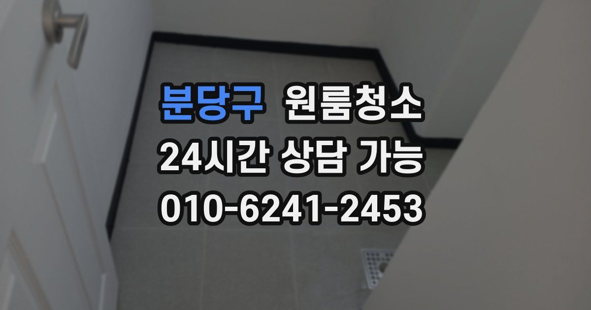 분당구 입주청소