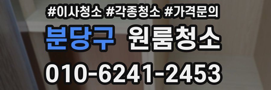 분당구 이사청소