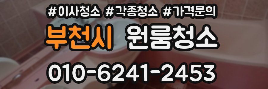 부천시 이사청소