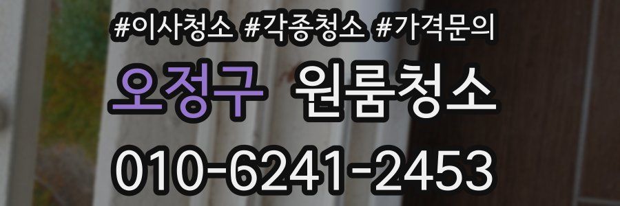 오정구 이사청소