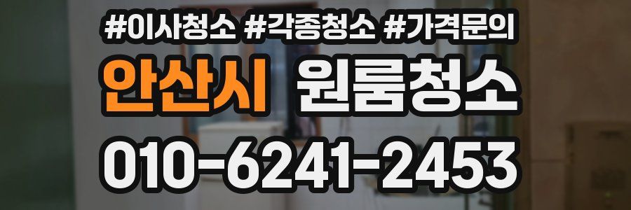 안산시 이사청소