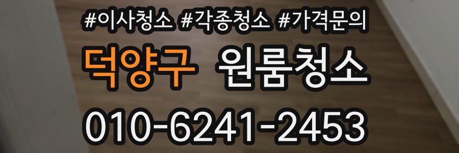 덕양구 이사청소