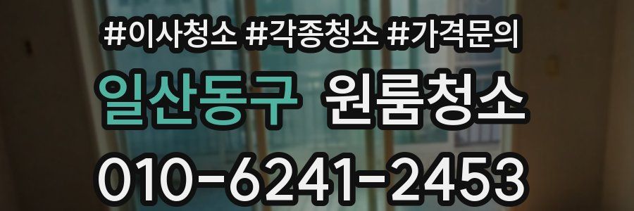 일산동구 이사청소