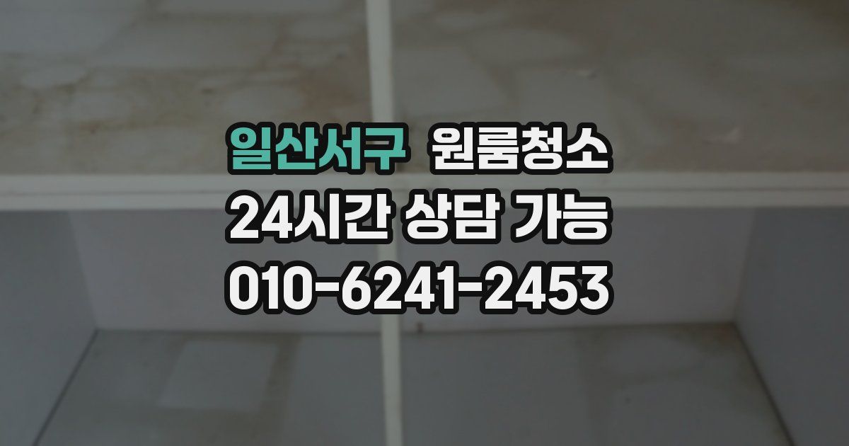 일산서구 입주청소