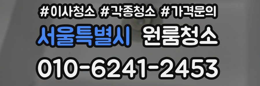 서울특별시 이사청소