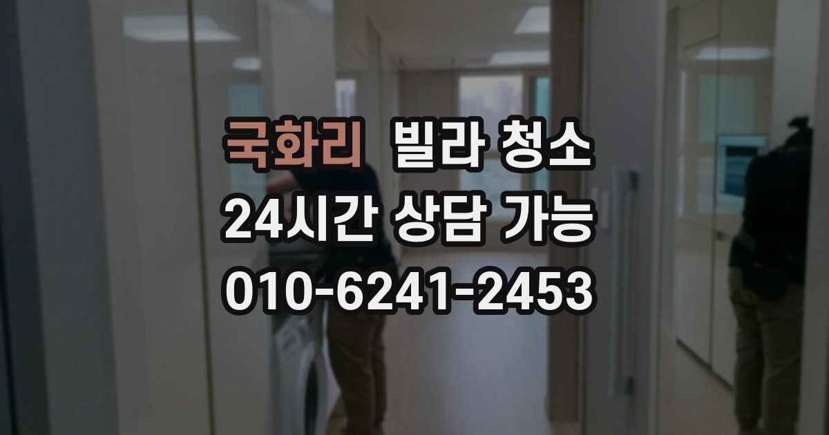 국화리 빌라 청소