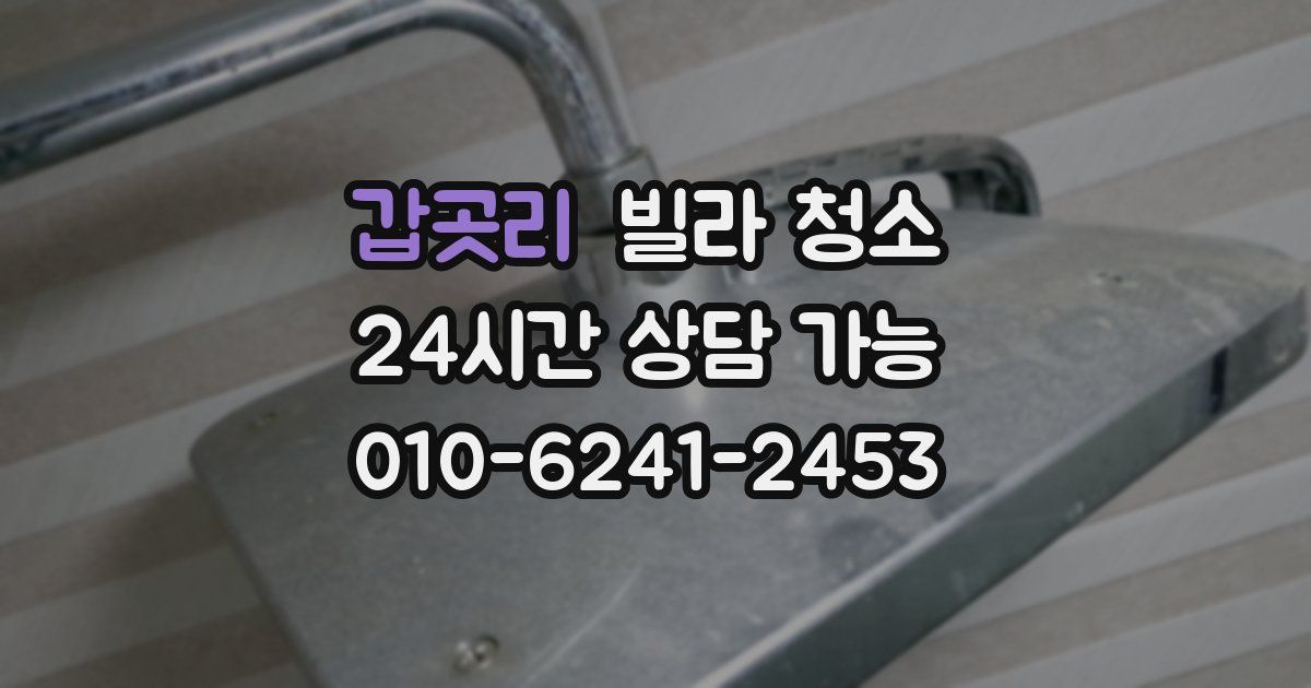 갑곳리 빌라 청소
