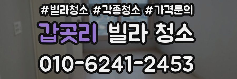 갑곳리 빌라 청소