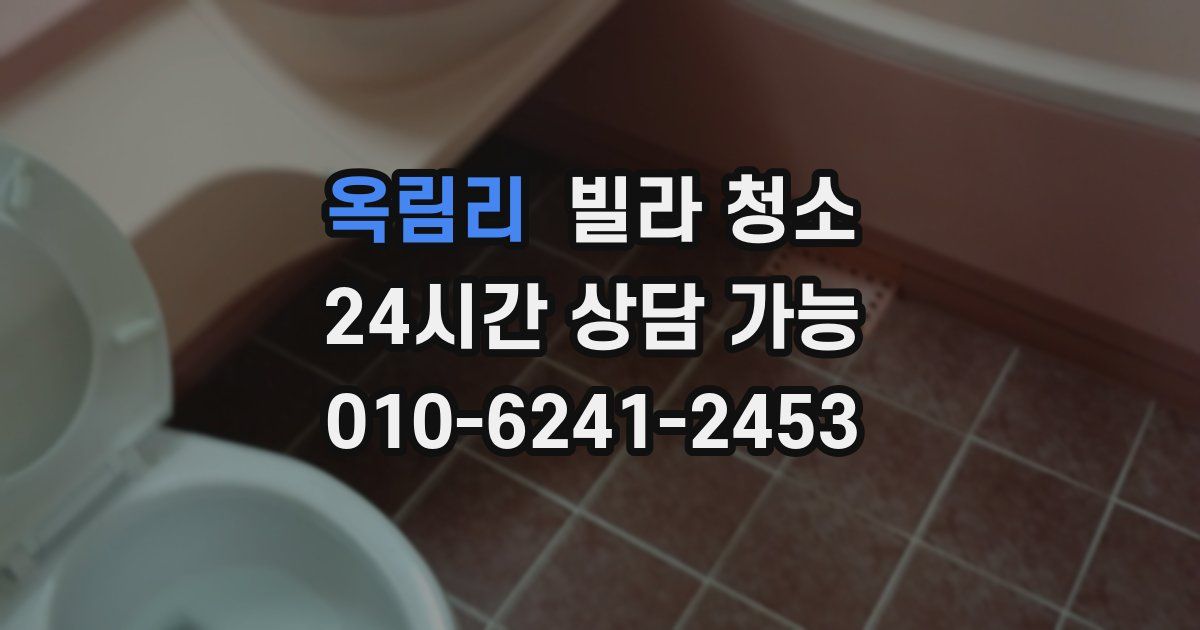 옥림리 빌라 청소