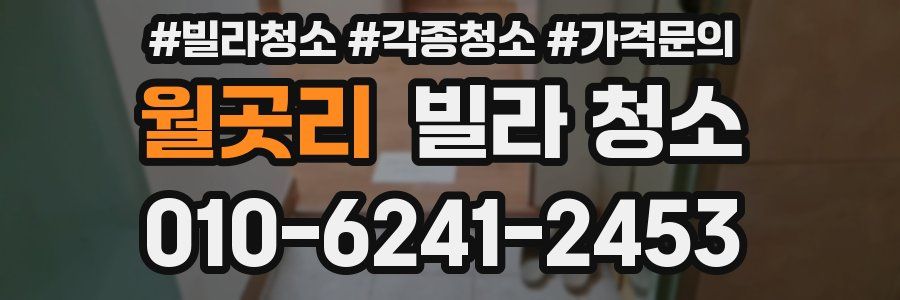 월곳리 빌라 청소