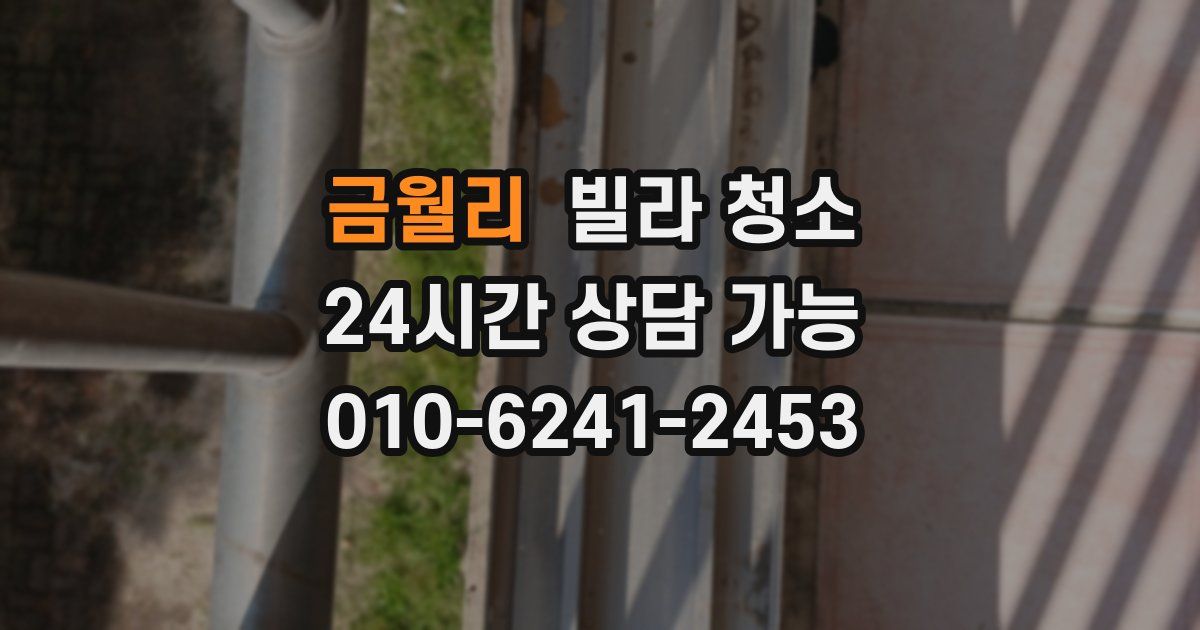 금월리 빌라 청소