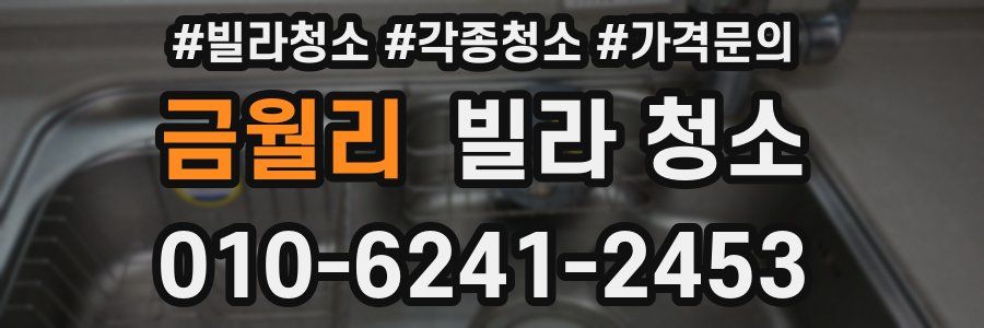 금월리 빌라 청소