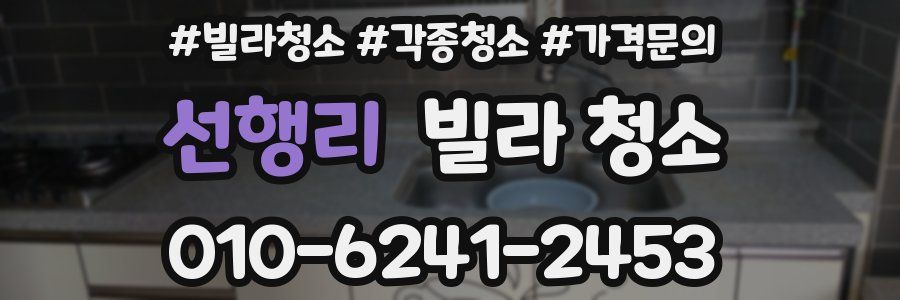 선행리 빌라 청소