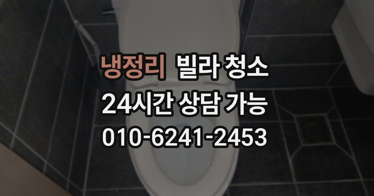 냉정리 빌라 청소