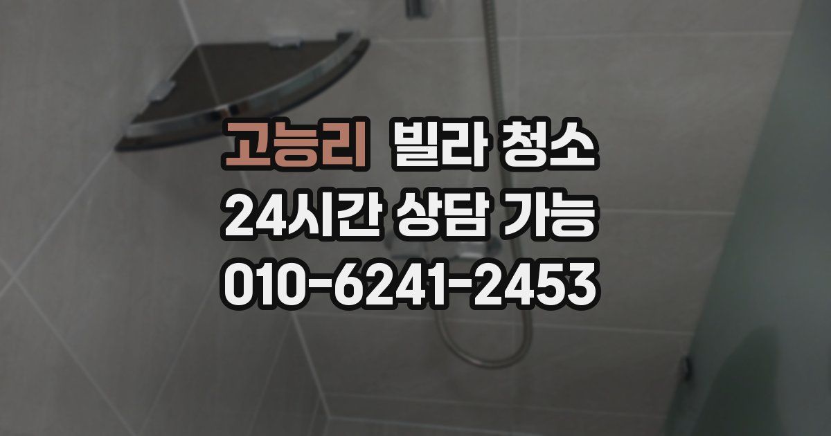 고능리 빌라 청소