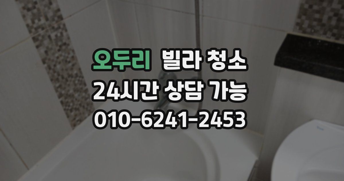 오두리 빌라 청소